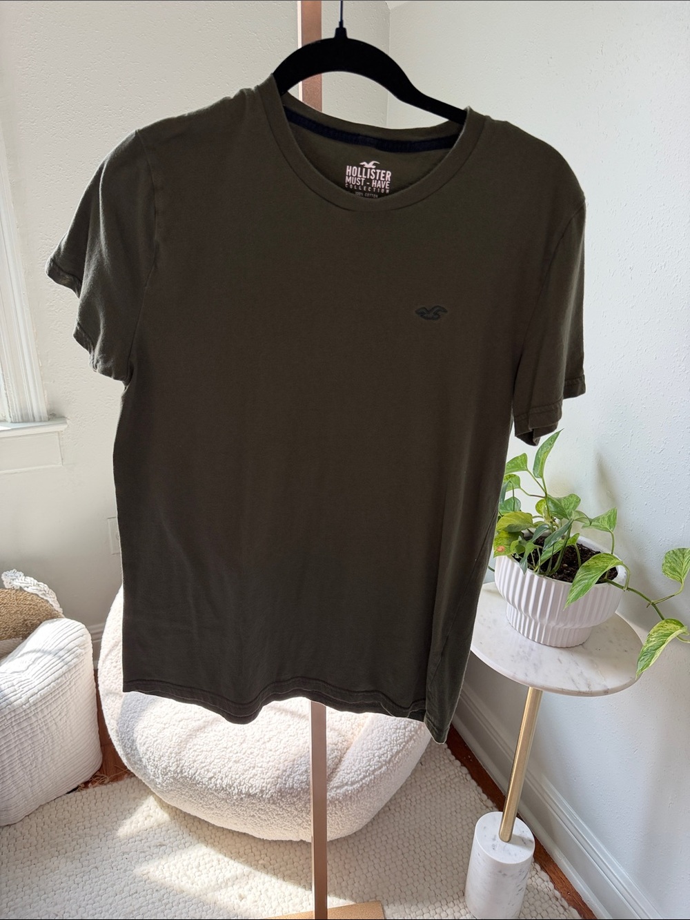 Hollister must have collection size M  Crewneck Tee